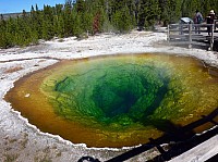 Yellowstone Morning glory pool (6).JPG